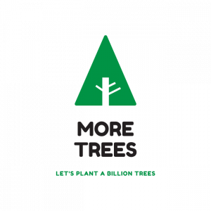 MoreTrees logo - a green triangle tree against a transparent background